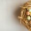 a bird nest filled with eggs on top of a table
